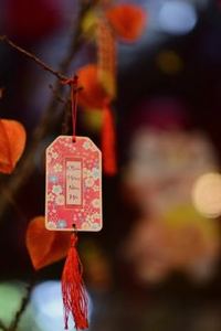 phỏm di động 8Day
